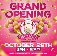 Grand opening